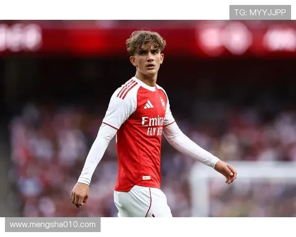 小雷德克纳普批评哈弗茨倒地未判点球